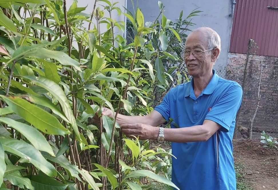 Ông Bạt - Bí thư Chi bộ 16 bản Hô Ta, thị trấn Tam Đường chăm sóc vườn ươm cây giống.